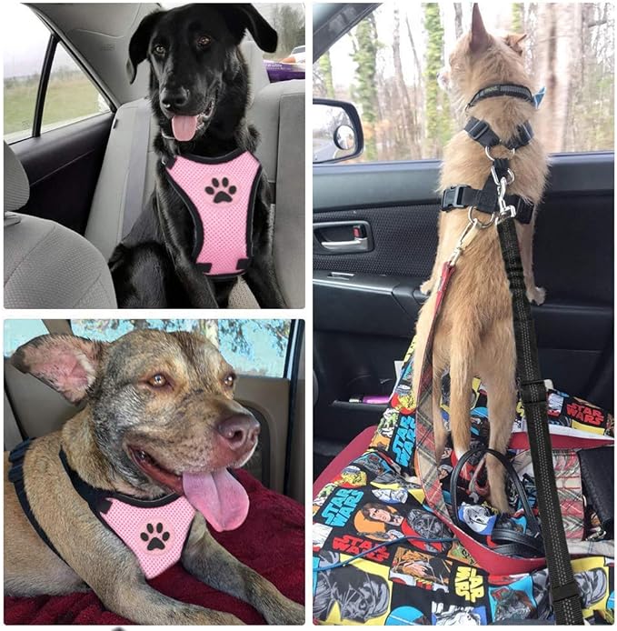 SlowTon Dog Seat Belt Harness for Car, Dog Car Harness Adjustable Mesh Breathable & Dog Seatbelt Safety Tether with Elastic Bungee for Small Medium Large Pets (Pink, Single Clip, XXS)