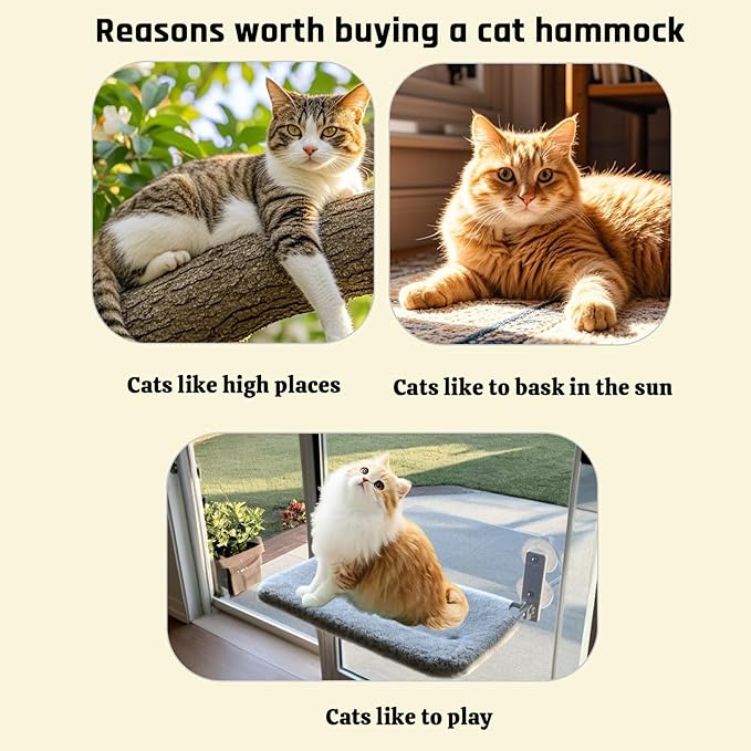 2PC Cat Window Perch, Cordless Foldable Cat Hammock for Indoor Cats with Upgraded Suction Cups Strong Metal Frame Holds Up to 44lbs (M 2PC)