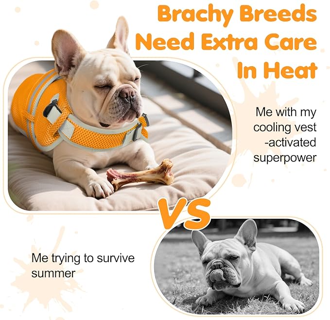 Cooling Vest for Small Dog,Lightweight Cooling Dog Jacket,Breathable Mesh Dogs Shirt Harness Vest with Adjustable Straps Reflective Stripe for Hot Weather with D-ring for Beach,Hiking,Walking,S