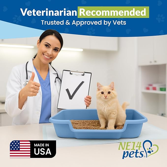 KittyGoHere Senior Cat Litter Box, Large Litter pan, Open Top Low Entrance Kitty Litter Box, Lightweight Low Entry Litters Box, Durable, Made in USA (2 Pack - Little Boy Blue)