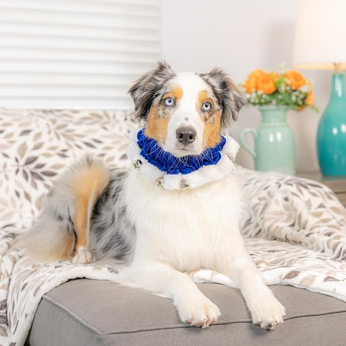 Huxley & Kent Ruff Pet Scrunchy | Hanukkah (Extra-Small) | Festive Christmas/Holiday Neckwear for Dogs/Cats | Fun Stretchable Costume Accessory | Soft Collar with Bells