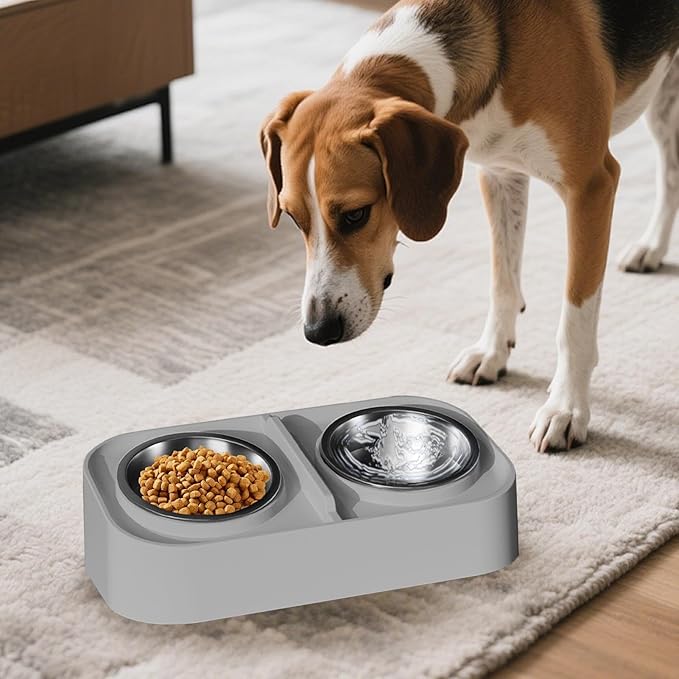 Cat Water and Food Bowl - Kitten Feeding Bowl Set, Slanted Non Slip Pet Feeder, Durable Food and Water Dish | Apartment City Living Home Travel for Apartment City Living Home Travel