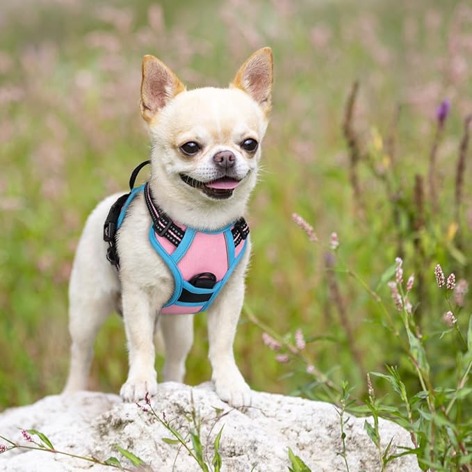 rabbitgoo Dog Harness No Pull with 2 Leash Clips, Adjustable Soft Padded, Reflective Oxford No Choke Pet Vest with Easy Control Handle for Puppy, Pink & Blue, XS