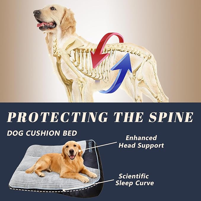 Orthopedic Dog Bed for Medium Dogs, Rectangle 32"x25"x7", Durable Warm Soft Plush Pet Couch Bed, High-Density Sponge Joint Relief, Calming Anti-Anxiety Dog Crate Pad with Non-Slip Bottom