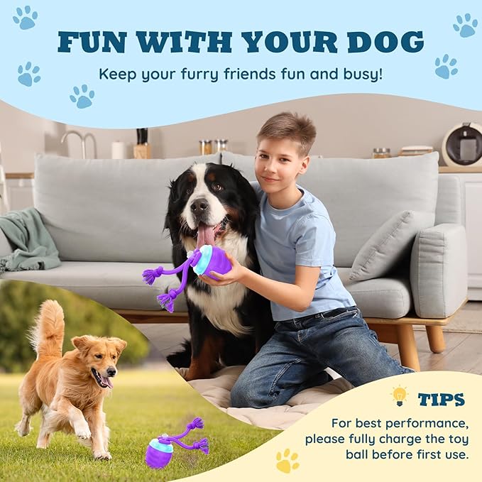 Interactive Dog Toys Ball - New Upgraded Chase Buddy Dog Toy for Small Dogs, Automatic Moving and Rolling Dogs Ball for Boredom, USB Rechargeable(Purple)