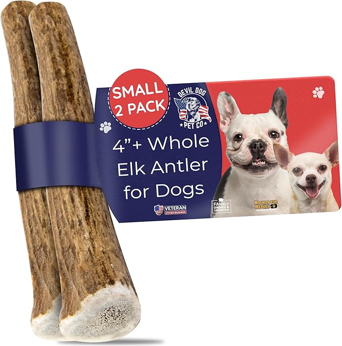 Devil Dog Pet Co - Elk Antler for Dogs Small 2 Pack - Long Lasting Dog Chew for Aggressive Chewers & Toy Breeds - Naturally Shed Grade A Rocky Mountain Elk, Anxiety & Boredom Relief (Up to 20 lbs)