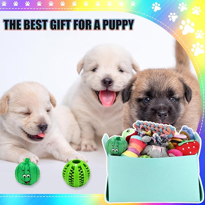 Abbylike 50 Pcs Puppy Supplies Starter Kit for Small Dogs Puppy Essentials Includes Leash, Bowls, Teeth Brushes, Water Bottle, and More Accessories for Dogs Christmas Welcome Gift (Colorful)