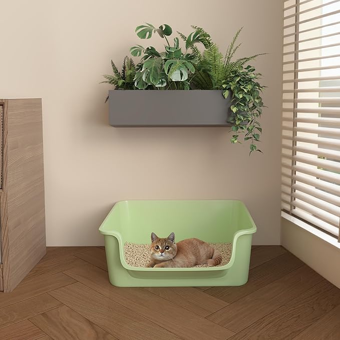 Open-Top Large High Sides Cat Litter Box with Low Entrance, Suitable for Small and Elderly Cats, Anti-Splash, 19.8” x15.6”x7.3” for Indoor Use (Green（Fluorescent Lime Green）)