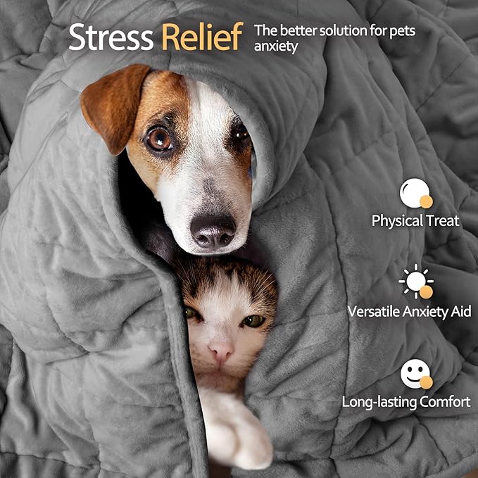 LaSyL Weighted Blanket for Pets | Thunder Blanket for Dogs Anxiety | Premium Soft Minky | Relaxation & Calming & Anti Anxiety | Used in Car, Bed, Couch | Dark Grey, Washable Large (40"x47")