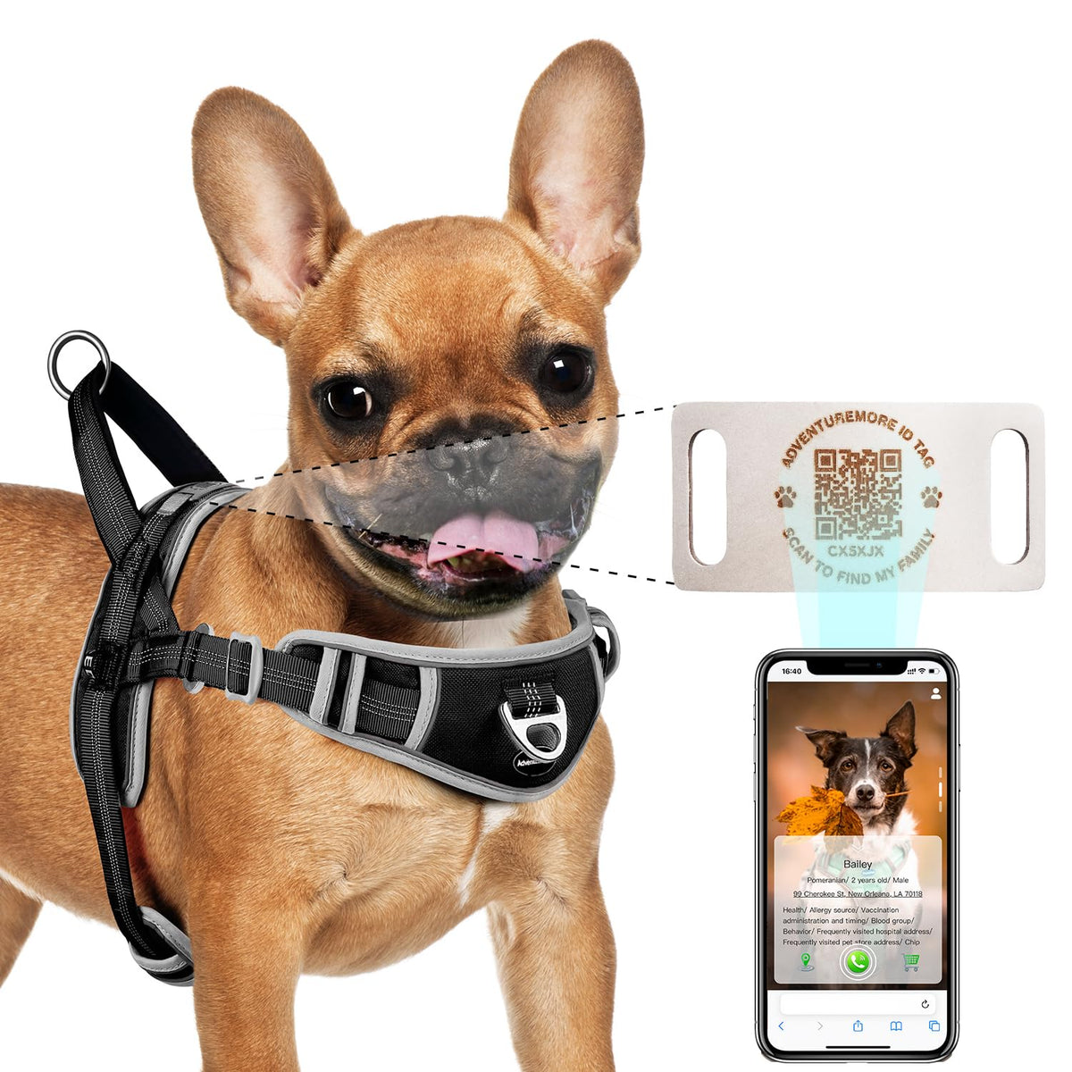 ADVENTUREMORE Dog Harness Small Sized Dog No Pull with QR - Image 1