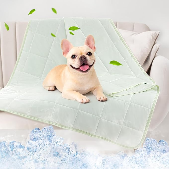 PICK FOR LIFE Cooling Blanket for Dogs, 0.4 Q-MAX Pets Cooling Comforter Throw for Bed Cover, Summer Blanket for Large Dogs Washable, Soft Lightweight Cold Mats for Pet Hot Weather (30"×40"/Green)