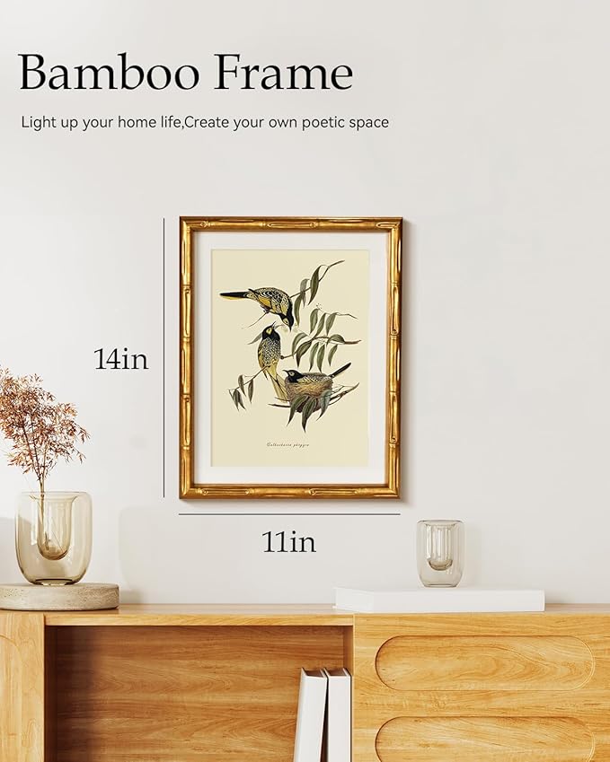 HUARCEY Antique Style Bird Botanical Wall Art 11x14, Classic Gold Framed Canvas Warty-faced Honey-Eaters Illustration, Traditional Vintage Nature Artwork Bedroom Office Study Cottagecore Decor