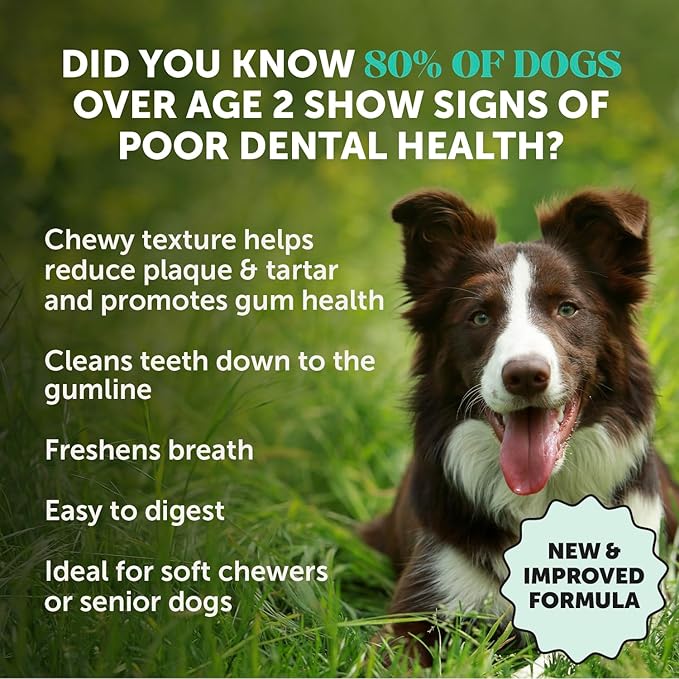 Dental Health Fresh Sticks – Dog Dental Treats & Chews for Oral Care – Dental Sticks for Dogs to Freshen Breath, Remove Tartar & Plaque, Support Gum Health & Bright Teeth Dog Oral Supplement – 16 Ct