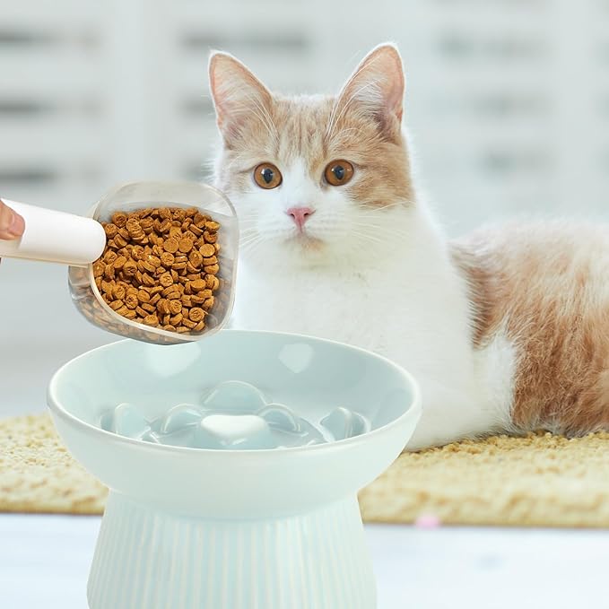 2 Pack Raised Cat Slow Feeder, Elevated Slow Feed Dish for Cats and Small Dogs, Ceramic Slow Feeder Cat Bowl, No Spill High Edge for Dry/Wet Food(Blue, Green)