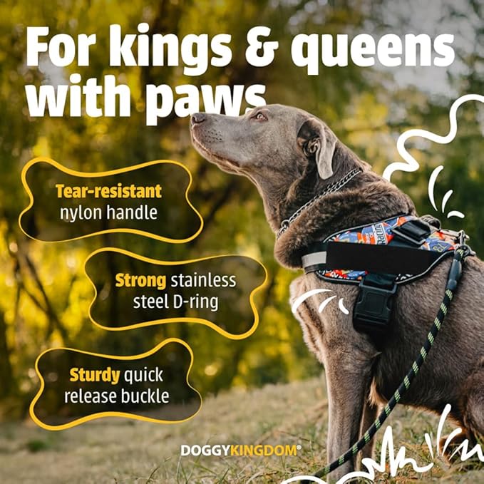 DOGGYKINGDOM Non Pull Dog Harness with Patch Panels and Handle, Adjustable, Reflective, No Choke, Heavy Duty Easy On Service Dog Vest Harnesses for Medium Large Small Sized Dogs - Purple, XL