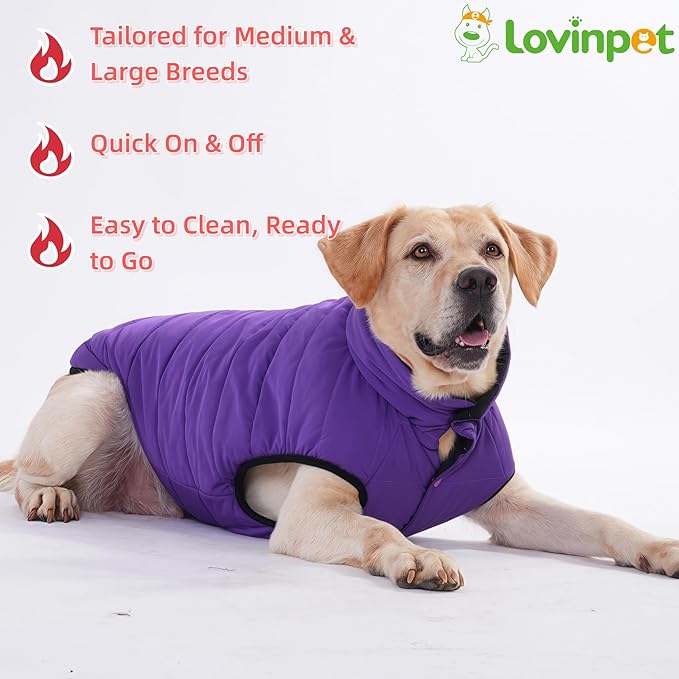 LovinPet Reversible Dog Puffer Coat for Medium & Large Dogs, Down‑Insulated Winter Jacket, Water‑Resistant & Wind‑Resistant, Anti‑Static, Dual-Sided Purple & Black for Cold Weather,L