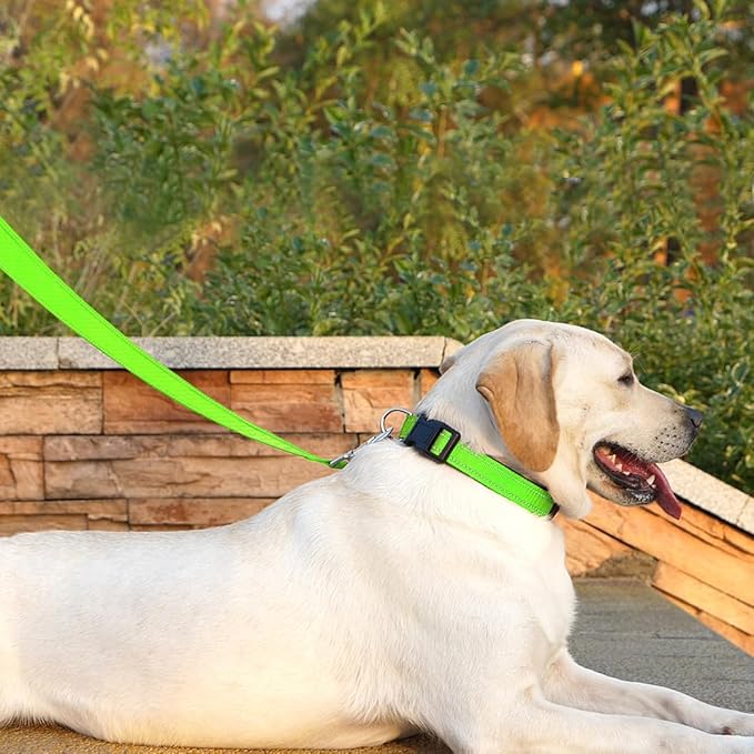 Dog Leash 6 FT Padded Handle Nylon Reflective Dogs Leashes for Medium Dogs Green