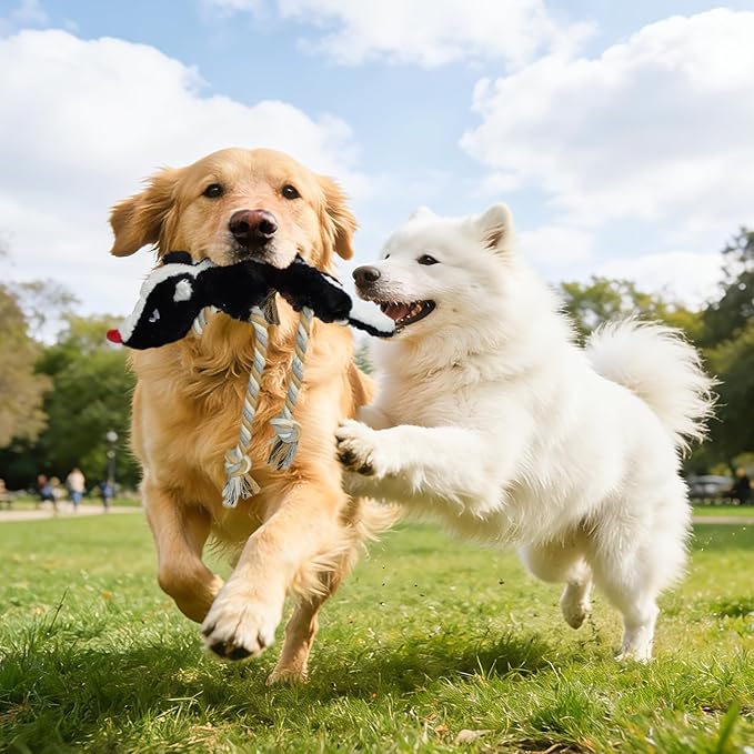 Dog Squeaky Toys, No Stuffing 2-Pack Dog Toys, Crinkle Plush Dog Toys to Keep Them Busy, Rope Dog Toys for Tug of War, Animal Shapes Dog Toys Bundle for Large, Medium and Small Dogs(Skunk, Squirrel)