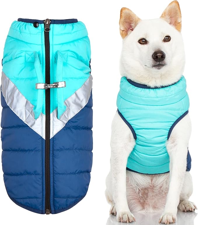 Gooby Mountaineer Dog Jacket - Mint, Small - Warm Zip Up Coat with Lift Handle and Dual O Ring Leash Water Resistant for Small to Medium Dogs