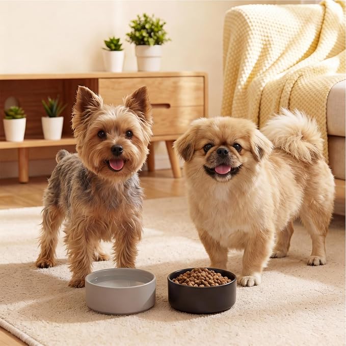 Ceramic Dog Bowl for Food and Water - Pet Feeder Bowl for Small Dogs and Cats - Heavy Ceramic Feeding Dish with Non Slip Base - Dishwasher & Microwave Safe - Set of 2 Bowls - 5Inch/1.4 Cups - Gray