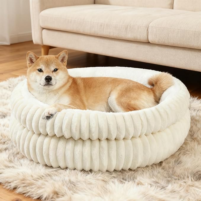 Washable Round Donut Dog Bed,Cat Beds for Indoor Cats,Fluffy Puppy Dogs Beds for Small Dogs with Anti-Slip Bottom(White, Medium)