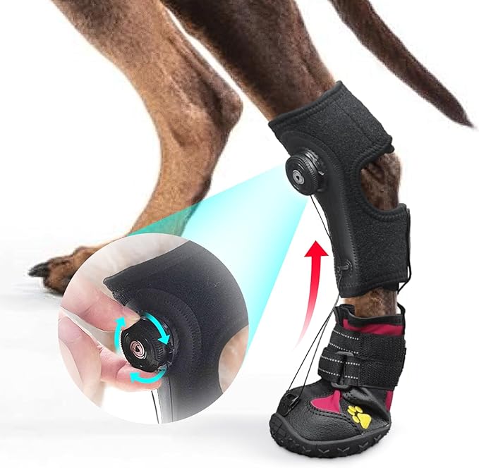 Drop Foot Brace with Reel(No Knuckling Boot Brace) for Dog - Corrective Dog Shoes to Safely Lift Toes for Foot Issues, Arthritis, and improving Walking gait in Dogs(M)