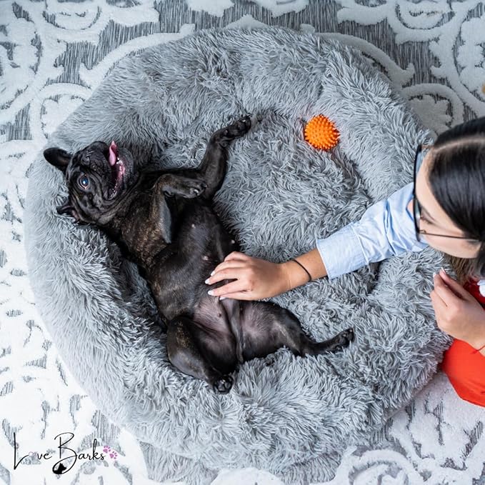 Anti-Anxiety Calming Donut Washable Large Bed for Medium Dog, Frenchie Friendly