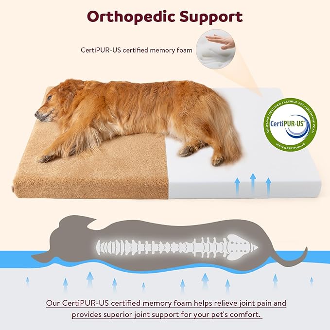 Self-Warming Orthopedic Dog Bed for Small Dogs & Puppies - Memory Foam for Joint Pain & Arthritis, Pet Bed w/Washable Removable Cover & Waterproof Liner, Dog Couch w/Raised Bolster & Non-Slip Base