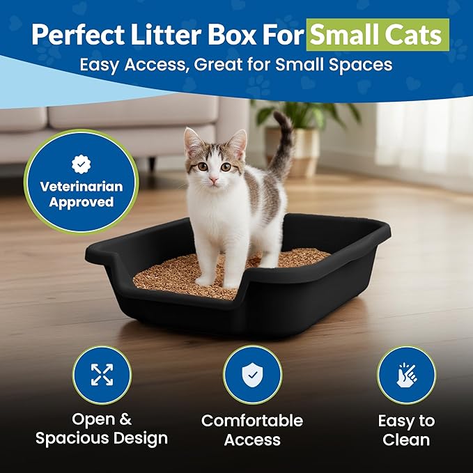 KittyGoHere Senior Cat Litter Box, Small Litter pan, Open Top Low Entrance Kitty Litter Box, Lightweight Low Entry Litters Box, Durable, Made in USA (2 Pack - Black)