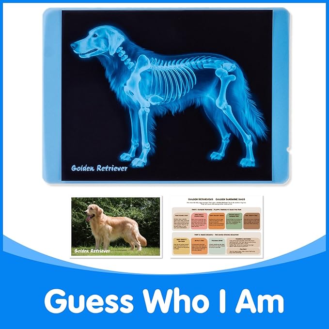 Pet Series Animal Xrays for Kids - Pet X-Rays Set, Light Table Manipulatives, Veterinarian Play Set & Dramatic Play Vet Clinic