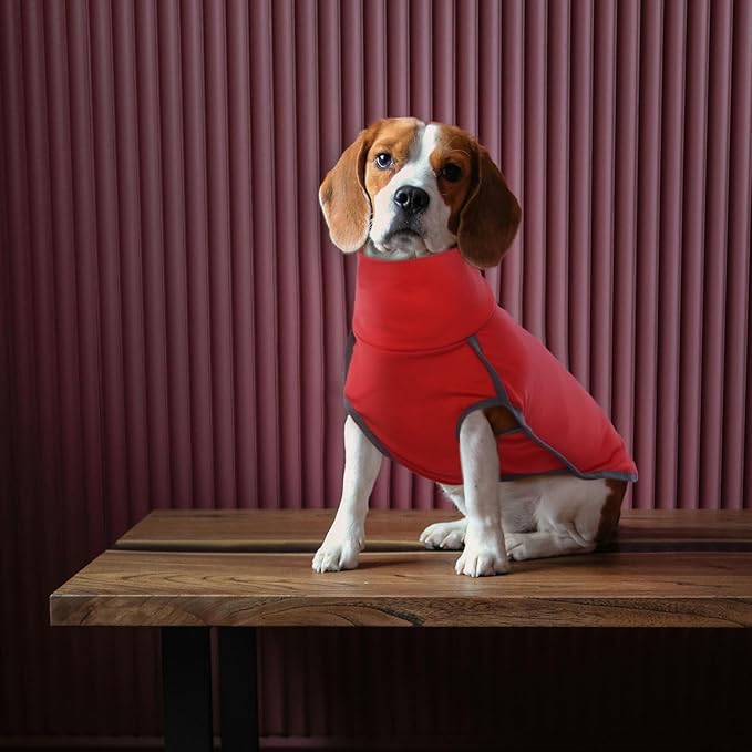 ROZKITCH Dog Winter Coat Soft Pullover Pajamas, Pet Windproof Warm Cold Weather Jacket Vest Cozy Jumpsuit Apparel Outfit Clothes for Xmas Walking Sleep BrightRed L