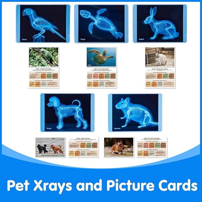 Pet Series Animal Xrays for Kids - Pet X-Rays Set, Light Table Manipulatives, Veterinarian Play Set & Dramatic Play Vet Clinic