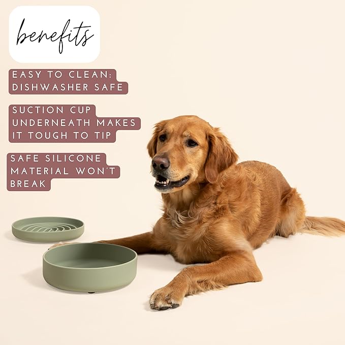 Should We Go? Dog Water Bowl - The Perfect Dish No-Spill, Less Mess Non-Tippable Water & Food Bowl, Pure Silicone with Suction Cup, Fits 8 Cups 9.5" Across x 2.5" Tall, Ideal for All Pets, Large-Sage