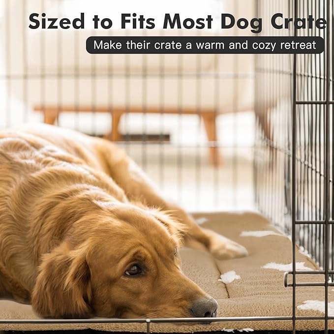 Mora Pets Dog Crate Pad Kennel Dog Bed Mat for Medium Dogs Washable Cute Star Pet Bed for Cage Ultra Soft Flat Puppy Cat Kitten Cushion for Sleeping Anti-Slip Brown 30 x 19