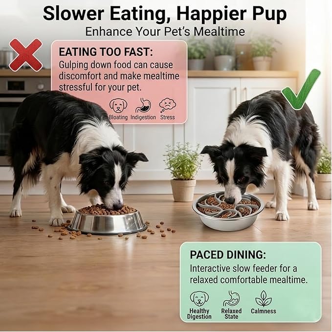 2-in-1 Dog Slow Feeder Insert and Lick Mat Set, Silicone Pet Licking Pad with Suction Cups, Slow Feeding Bowl Insert for Wet & Dry Food, Grey