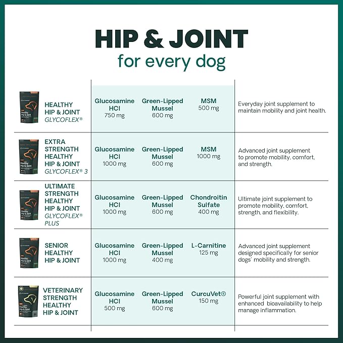 VetriScience Extra Strength Hip & Joint Supplement for Dogs, GlycoFlex 3 –Vet Formulated Glucosamine, MSM & Green-Lipped Mussel Chews for Mobility, Flexibility & Joint Support, Chicken Flavor, 60ct