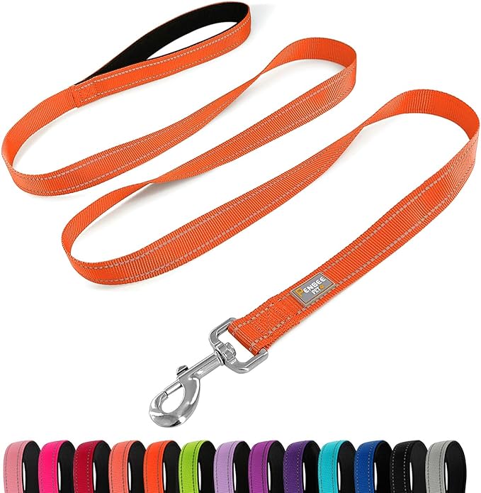 Reflective Dog Leash 6 FT Padded Handle Nylon Dogs Leashes for Medium Dogs Orange