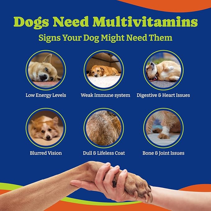Dog Multivitamin Chewable Supplement - Dog Vitamins and Supplements - 180 Soft Chews, Duck & Pear Flavor - Joint, Skin & Coat Care - Vitamins A, B, C, D, E