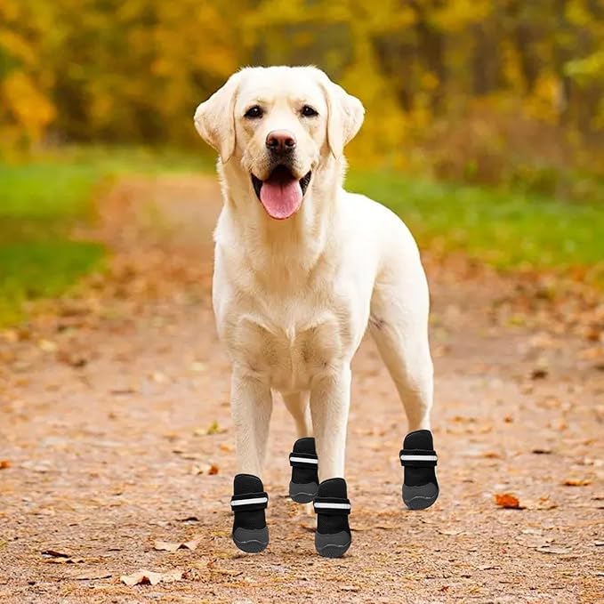Dog Shoes | Elastic Breathable Anti-Slip Booties,Small Dog Shoes | for Puppy Pet Walking Camping Hiking Outside Floors Night