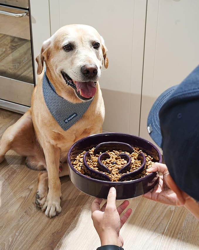 LE TAUCI Dog Slow Feeder Bowl,3 Cups Ceramic Maze Pattern for Large Breed,Bule and Purle