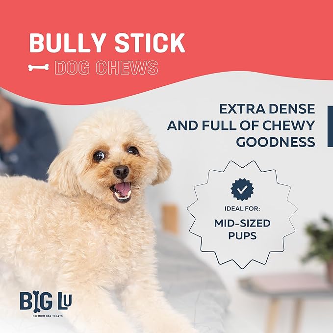Big Lu - 6” Jumbo Bully Sticks, 10 Count- Thick, Long-Lasting, Grass-Fed Beef Chews for Medium & Large Dogs, Natural Single-Ingredient, Fully Digestible Treats