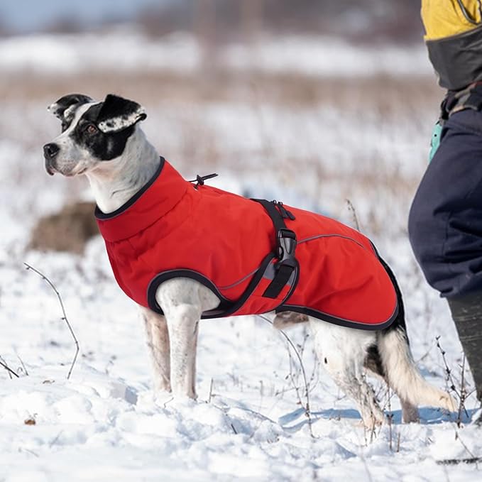 Warm Dog Coat for Winter,Waterproof Jacket with Zipper,Detachable Dog Coat with Adjustable Buckle,Comfortable Jacket for Dogs in Cold and Windy Days.L Red