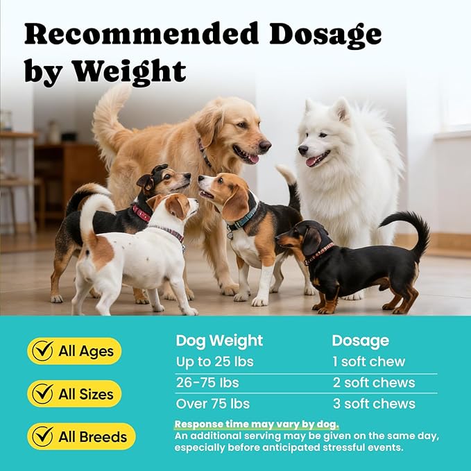 Calming Chews for Dogs – GABA & Melatonin for Fast-Acting Relief – Long-Lasting Support with Ashwagandha – Stress & Anxiety Relief Treats for Dogs – Thunder, Separation, Travel & Fireworks – 180 Chews