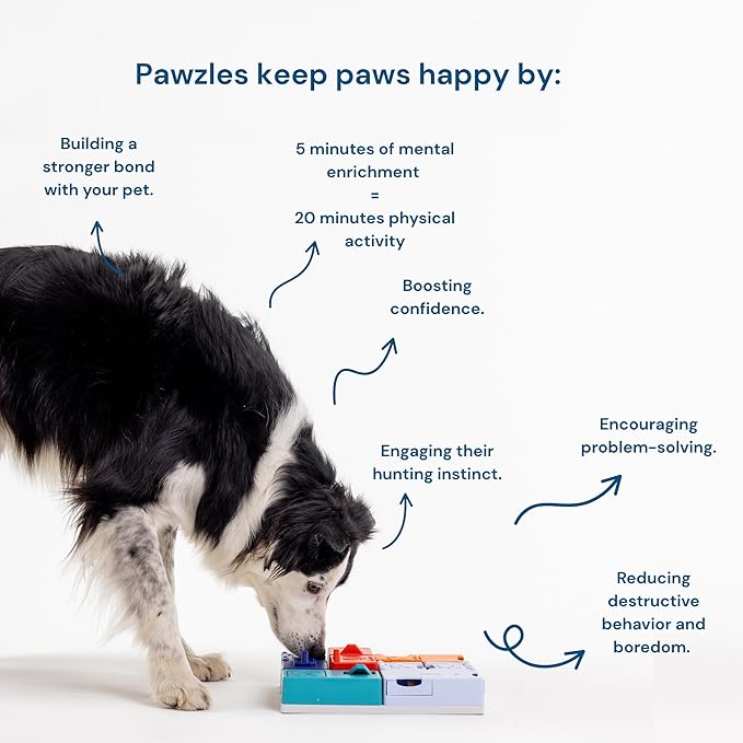 Genius Set Pawzler - Modular Dog Puzzle | Pawzler Interactive Dog Treat Puzzles for Canine Enrichment