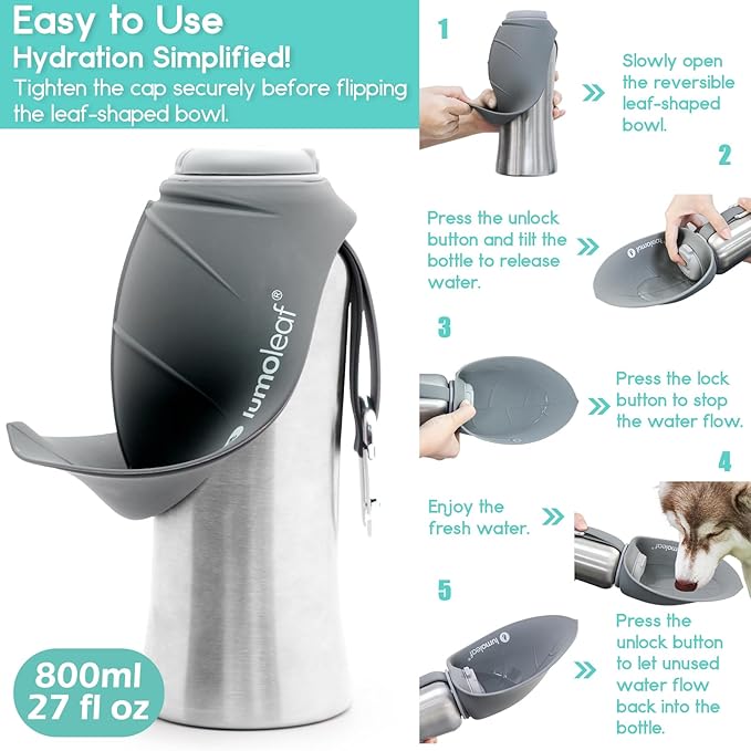 Stainless Steel Dog Travel Water Bottle — 27oz, Portable Bowl, Walking & Hiking (Grey)
