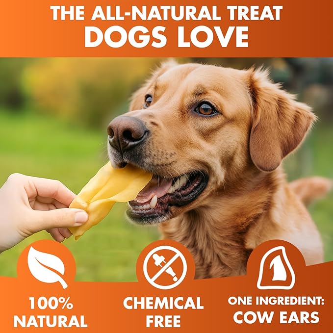 BRUTUS & BARNABY Cow Ears for Dogs – Halves 12 ct, Thick Cut, Grass-Fed Angus Beef, All-Natural No-Rawhide Dog Treat Alternative