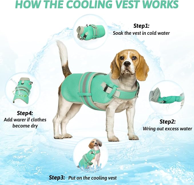 Dog Cooling Vest for Medium Dogs,Lightweight Cooling Dog Jacket,Breathable Mesh Dogs Shirt Harness Vest with Adjustable Straps Reflective Stripe for Hot Weather with D-Ring for Beach,Hiking,M
