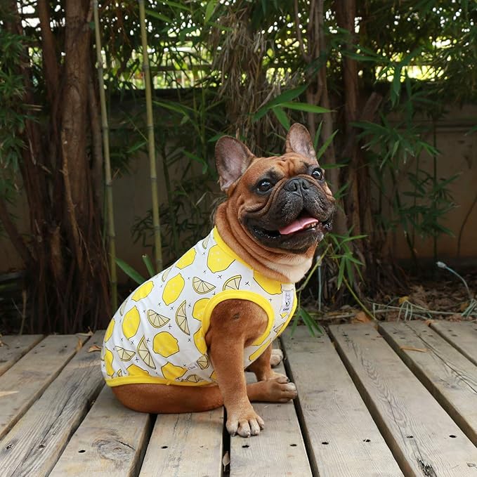 iChoue 100% Breathable Cotton French Bulldog Halloween Cartoon T Shirts Cute Clothes for Dogs Vest Tank Tops Puppy Frenchie Pug Small Puppy English Boston Terrier Lemon - Medium