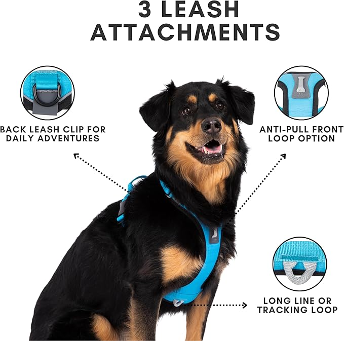 ShawnCo Basecamp Dog Harness, No-Pull Pet Vest with 3 Leash Clips, Padded, Reflective, Lightweight and Adjustable Harness with Handle for Small, Medium and Large Dogs (Electric Blue, XL)