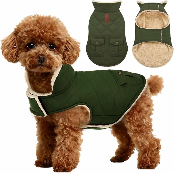 ASENKU Warm Dog Winter Coat, Waterproof Dog Coat for Cold Weather, Fleece Dogs Jacket with Ultra Thick Plush Lining Leash Hole Storage Pockets for Medium Dogs (Green, Medium)